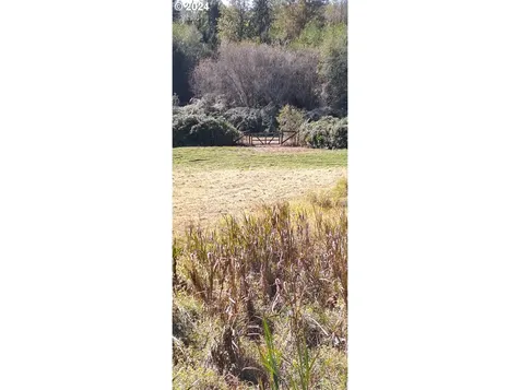 2209 NE 315th Street La Center WA 98629