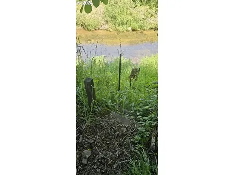 58791 Fairview Road Coquille OR 97423
