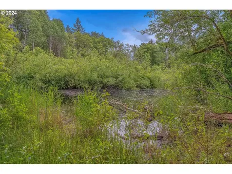 24609 Ne 74th Court Battle Ground WA 98604