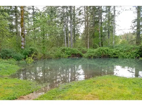 26204 Ne 204th Avenue Battle Ground WA 98604