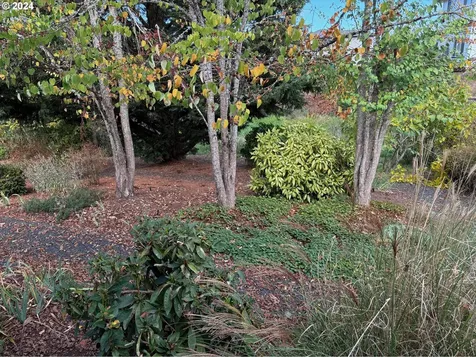 1293 Tasa Creek Drive Creswell OR 97426