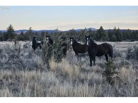 9395 Se Paulina Highway Prineville OR 97754