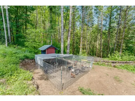 974 Niemi Road Woodland WA 98674