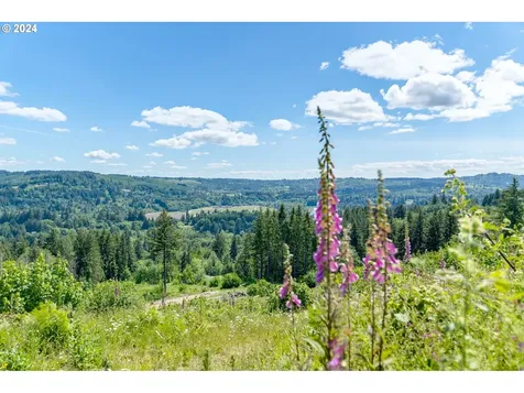 974 Niemi Road Woodland WA 98674