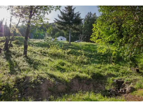 3177 Weaver Road Myrtle Creek OR 97457