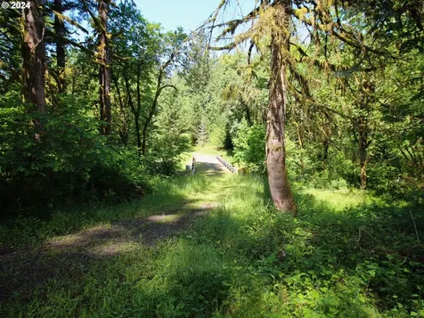 9510 Ne 322nd Street La Center WA 98629