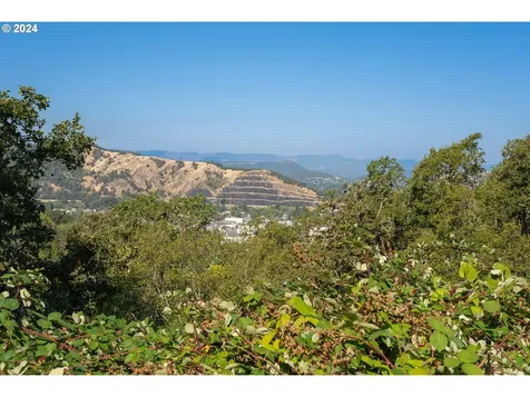 1393 SE Laurel Court Roseburg OR 97470