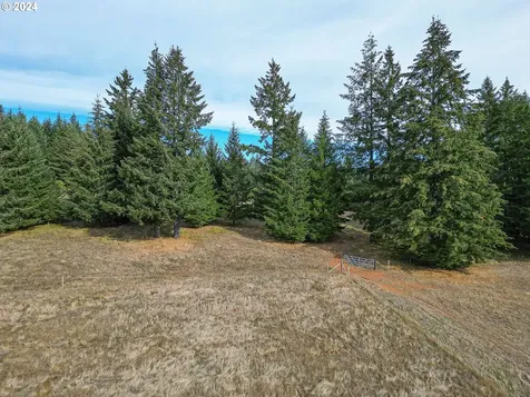 20150 NW Panther Creek Road Carlton OR 97111