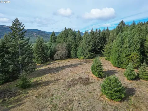 20150 NW Panther Creek Road Carlton OR 97111
