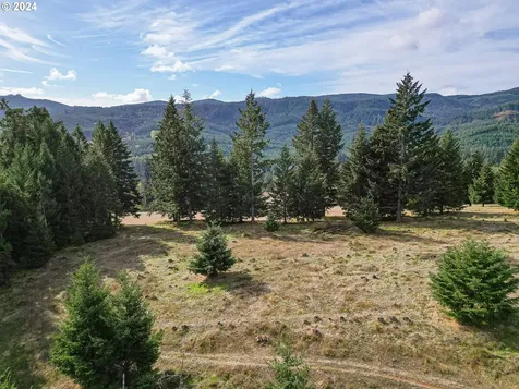 20150 NW Panther Creek Road Carlton OR 97111