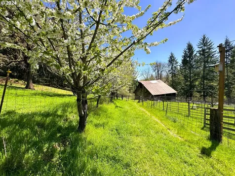 20150 NW Panther Creek Road Carlton OR 97111
