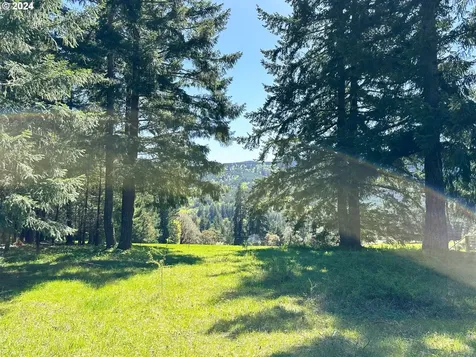 20150 NW Panther Creek Road Carlton OR 97111