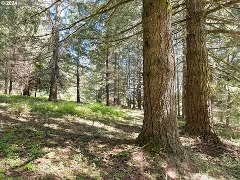 20150 NW Panther Creek Road Carlton OR 97111