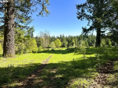 20150 NW Panther Creek Road Carlton OR 97111