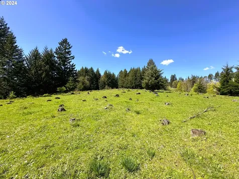 20150 NW Panther Creek Road Carlton OR 97111