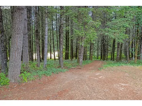 89245 Forest View Drive Elmira OR 97437