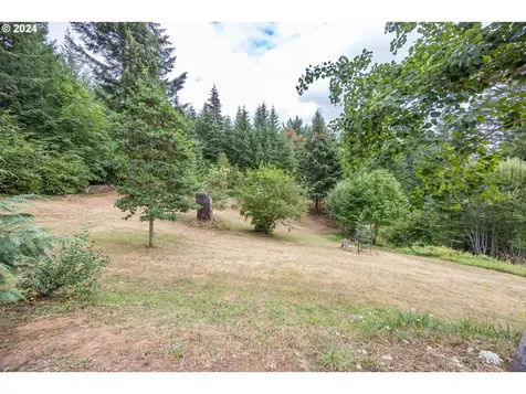 89245 Forest View Drive Elmira OR 97437
