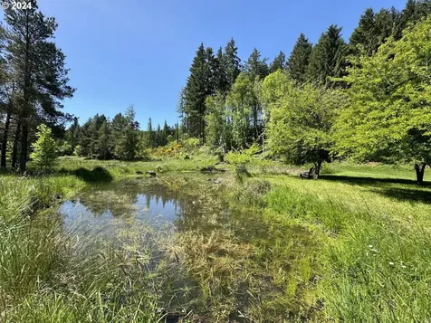 71828 London Weyerhaeuser Road Cottage Grove OR 97424