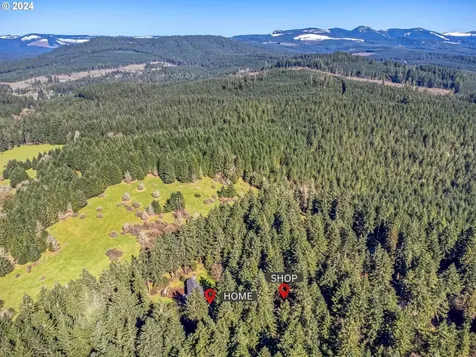 92859 Fir Ridge Road Marcola OR 97454