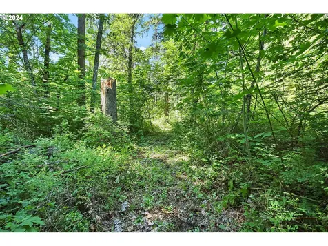 6808 Cooper Spur Road Mt Hood Prkdl OR 97041