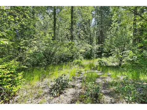6808 Cooper Spur Road Mt Hood Prkdl OR 97041