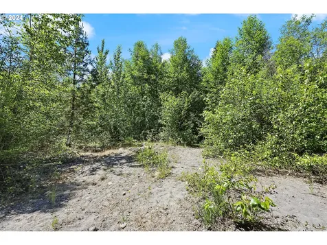 6808 Cooper Spur Road Mt Hood Prkdl OR 97041