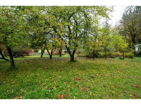 21544 NE Lucia Falls Road Yacolt WA 98675