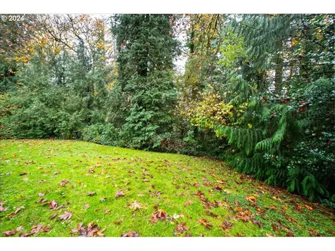 21544 NE Lucia Falls Road Yacolt WA 98675