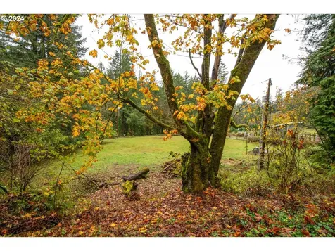 21544 NE Lucia Falls Road Yacolt WA 98675