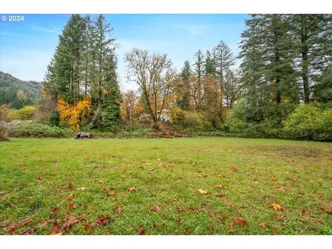 21544 NE Lucia Falls Road Yacolt WA 98675