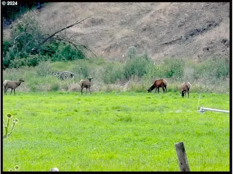 50889 Highway 26 Mount Vernon OR 97865