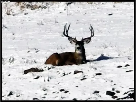 50889 Highway 26 Mount Vernon OR 97865
