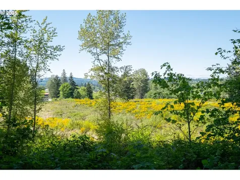 500 55-1(next To)main Street Sweet Home OR 97386