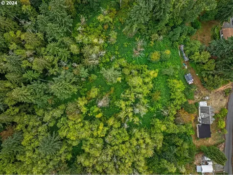 220 Holcomb Spur Road Kelso WA 98626