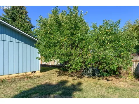 531 NE 3rd Street Willamina OR 97396