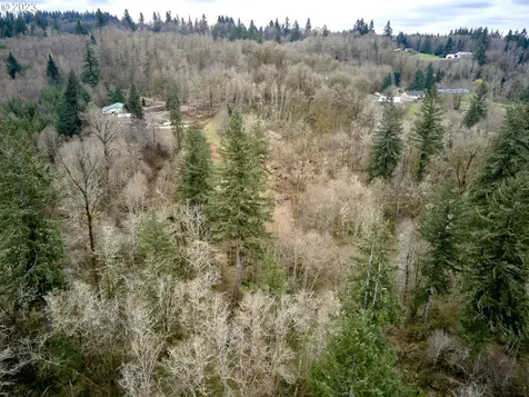 13500 NE 406th Street Amboy WA 98601