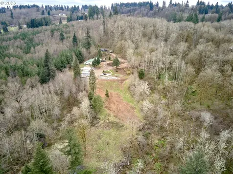 13500 NE 406th Street Amboy WA 98601