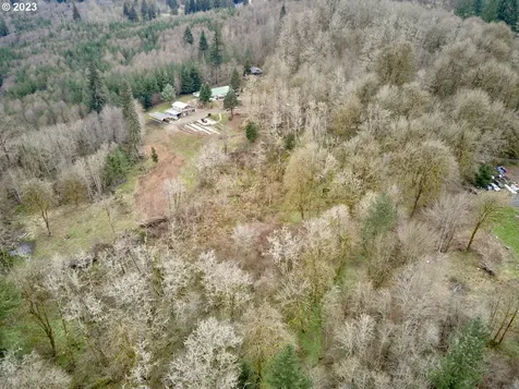 13500 NE 406th Street Amboy WA 98601