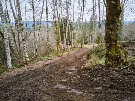 13500 NE 406th Street Amboy WA 98601
