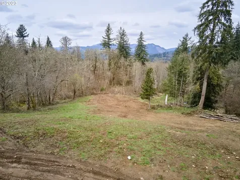 13500 NE 406th Street Amboy WA 98601