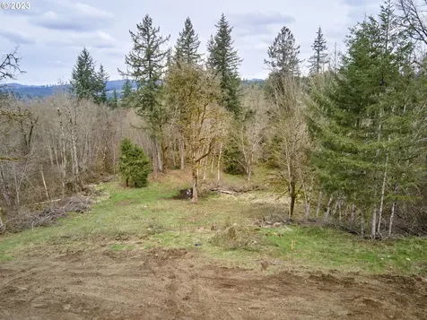 13500 NE 406th Street Amboy WA 98601