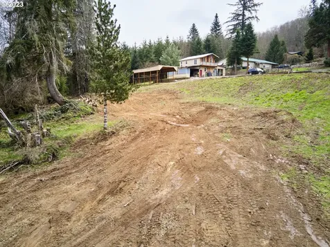13500 NE 406th Street Amboy WA 98601