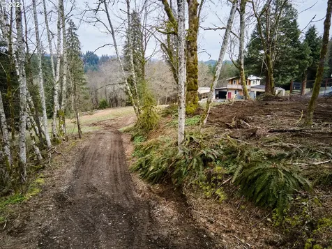 13500 NE 406th Street Amboy WA 98601