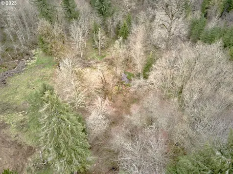 13500 NE 406th Street Amboy WA 98601