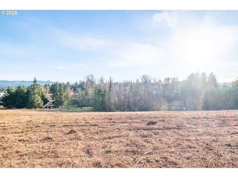 0 (TL 207) Ridgeview Lane Sweet Home OR 97386