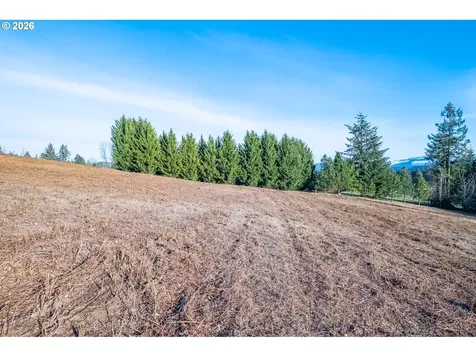 0 (TL 207) Ridgeview Lane Sweet Home OR 97386