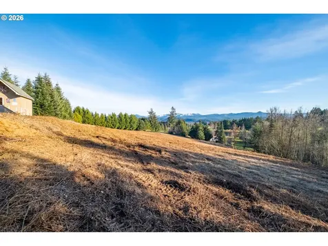 0 (TL 207) Ridgeview Lane Sweet Home OR 97386