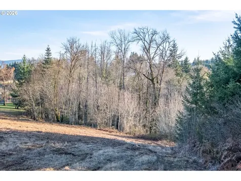 0 (TL 207) Ridgeview Lane Sweet Home OR 97386