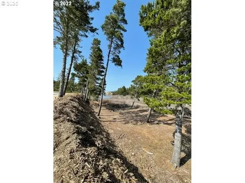 88051 Lake Point Drive Florence OR 97439