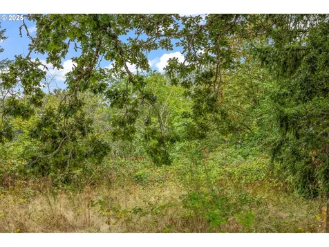 30148 S Meadowbrook Lane Molalla OR 97038